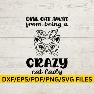 Crazy Cat Lady SVG, Crazy Cat Lady Tumbler SVG, Crazy Cat Lady Sublimination, Crazy Cat Lady PNG, fou chat dame tumbler png