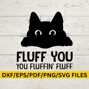 Fluff you you rolig katt svg, kattmeme svg, sassy katt png