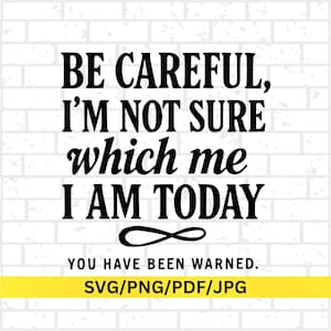 May include: Black text on a white brick background reads "BE CAREFUL, I'M NOT SURE which me I AM TODAY" with "YOU HAVE BEEN WARNED." below. The bottom banner says "SVG/PNG/PDF/JPG".