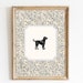 see more listings in the Dogs section