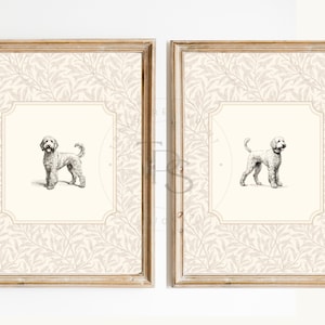 Decorazione della cameretta con stampa vintage con cane • Goldendoodle • Arte da parete stampabile Labradoodle • Floreale pastello • Parete della cameretta Grandmillennial Art Girl Boy