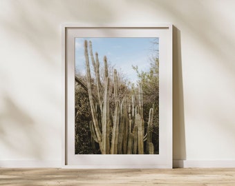 Cactus Printable Wall Art Instant Download