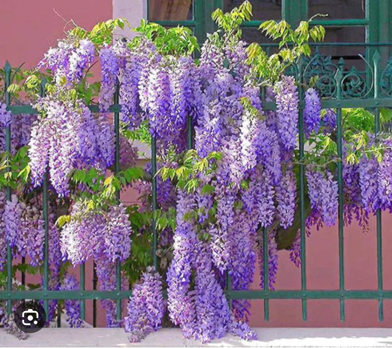 il_fullxfull.6972406337_31ht.jpg