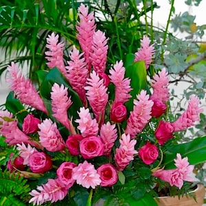 May include: A vibrant floral arrangement featuring pink ginger flowers and roses. The arrangement is set in a decorative gray vase, surrounded by lush green foliage. The pink flowers create a striking contrast against the green leaves.