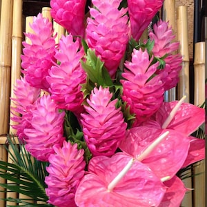 May include: A vibrant bouquet of pink ginger flowers and anthuriums. The arrangement features multiple pink ginger blooms with a cone-like shape, complemented by heart-shaped anthuriums with white spadices. Green leaves and bamboo stalks add contrast.