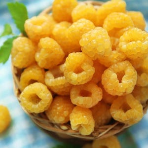 May include: A close-up of a bowl filled with yellow raspberries. The raspberries are arranged in a cluster, showcasing their bright yellow color and delicate texture.