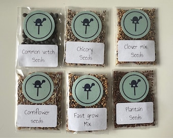 Tortoise Food Seed Mix: Flowers & Weeds for Pet Tortoises