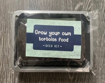 Tortoise Food Grow Kit: Cat Grass Seeds, Indoor Garden Planter