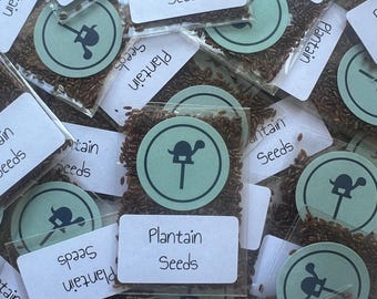 Plantain Seeds: Nutritious Tortoise & Turtle Food Mix