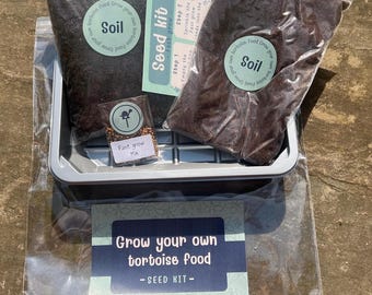 Tortoise Food Growing Kit: Fast Grow Winter Seed Tray