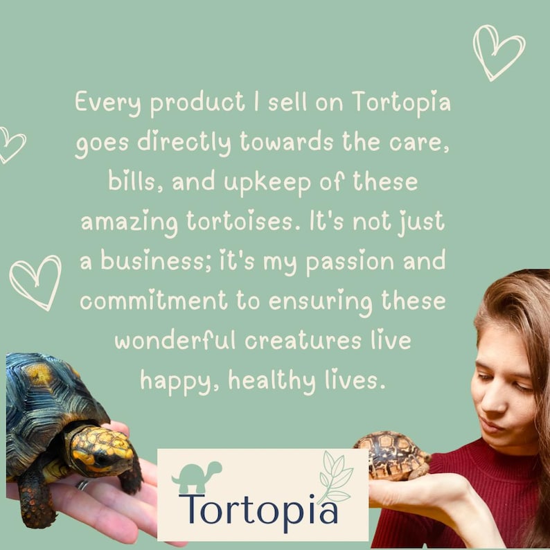 May include: Image features a woman holding two tortoises, with text that reads "Every product I sell on Tortopia goes directly towards the care, bills, and upkeep of these amazing tortoises." The Tortopia logo is at the bottom.