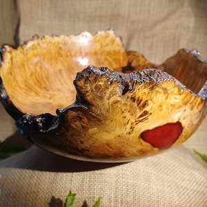 Live Edge Big Leaf Maple Burl Bowl.