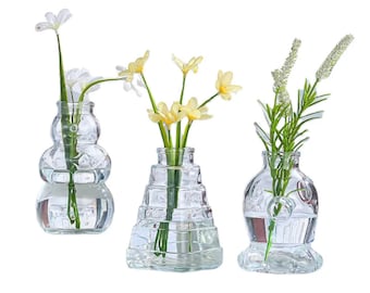 bottiglia di vetro per piante idroploniche