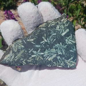 May include: A triangular-shaped, dark green stone with a pattern of light green, crystalline structures. The stone is held in a white-gloved hand, with a blurred background of green foliage and purple flowers.