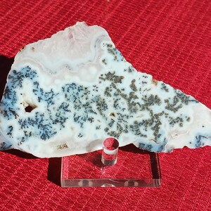 May include: A white agate slice with black and gray dendritic patterns, displayed on a clear acrylic stand. The agate has a natural, organic shape and a smooth, polished surface.