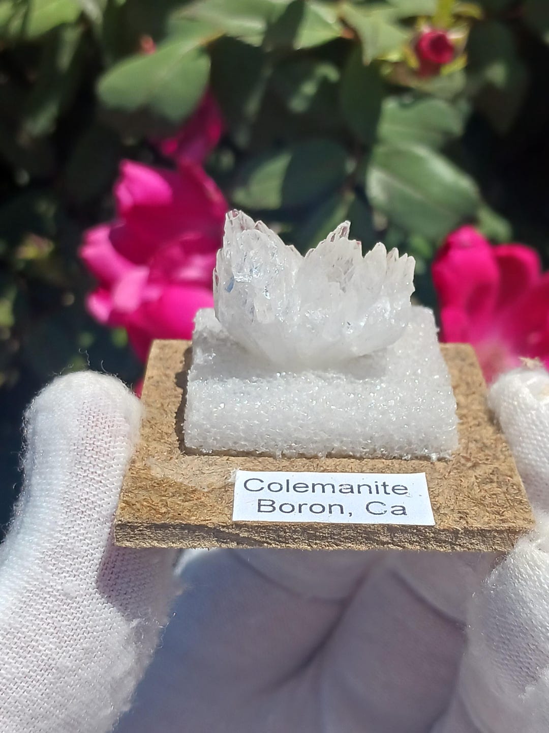 Stunning Thumbnail Specimen of Colemanite, 13g From Boron CA. A Mineral ...