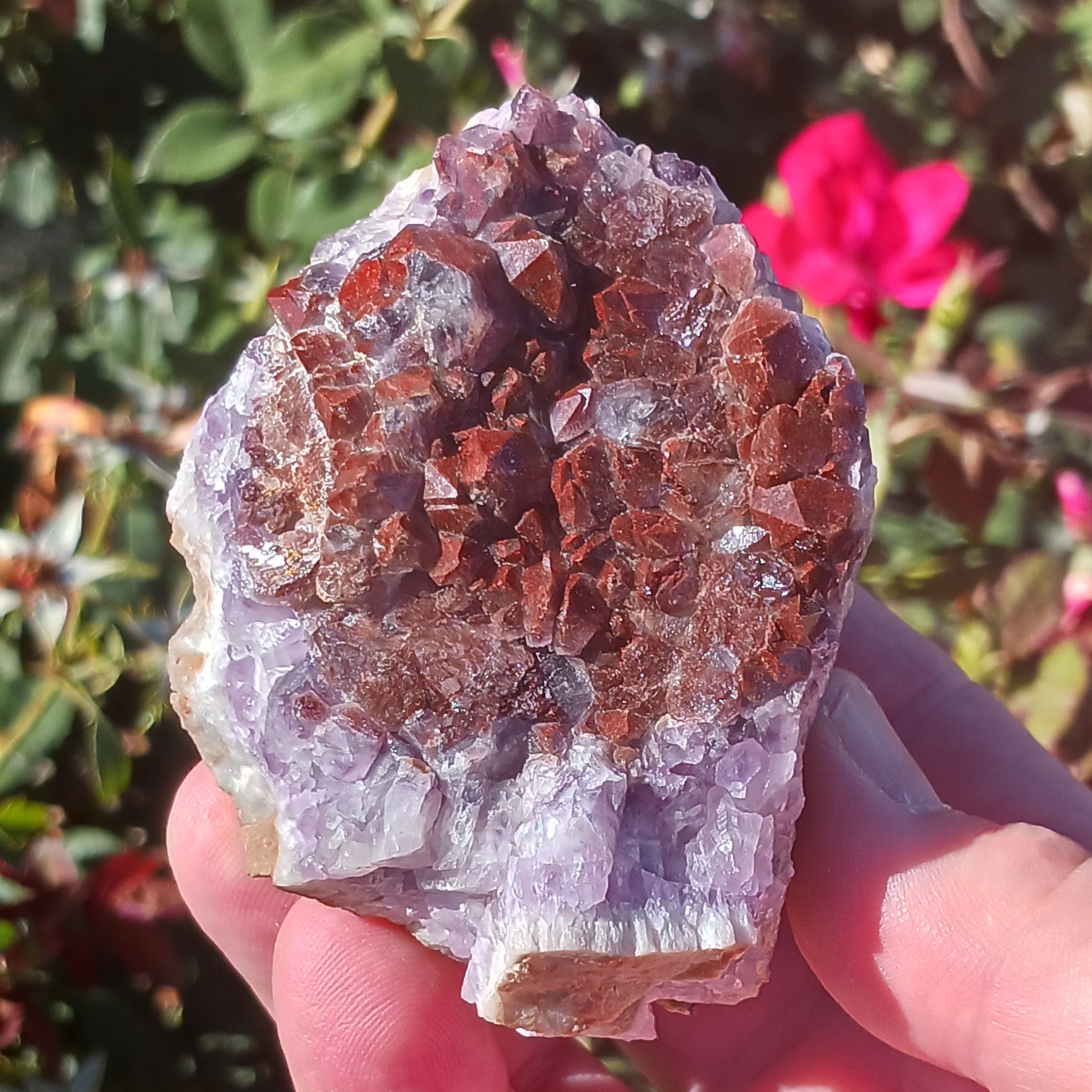 Very Rare Deep Red Amethyst Crystal. Hematite Inclusions Give This Its ...