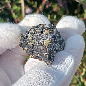 May include: A dark gray, rough-textured, cube-shaped mineral with gold flecks. The mineral is being held in a white gloved hand.