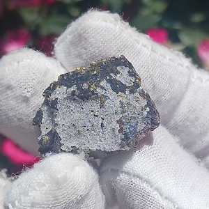May include: A close-up of a mineral specimen held in a white gloved hand. The mineral has a dark, metallic appearance with areas of gold, blue, and silver. The edges are rough and irregular, showcasing its natural form.