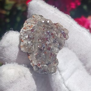 May include: A close-up of a mineral specimen held in a white gloved hand. The mineral is a mix of gray, clear, and reddish-brown crystals. The background is blurred with green and red hues.