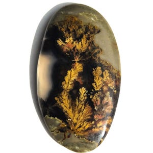 Agate Cabochon with Stunning dendrites in a colorful fern garden design, 4g