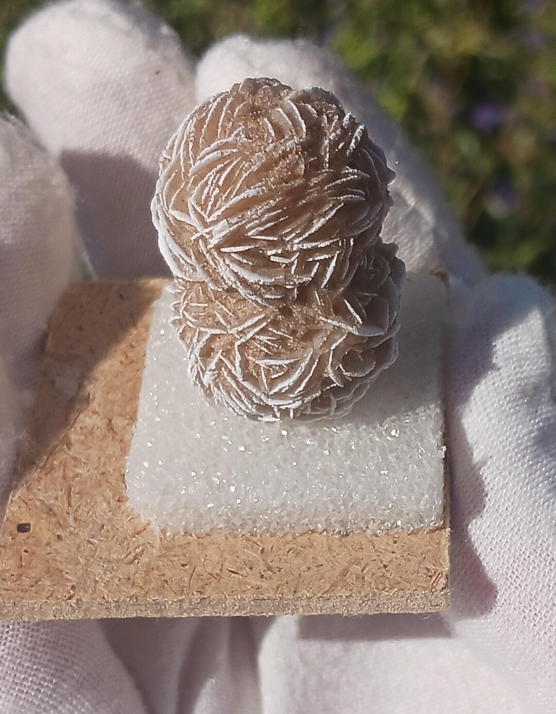 Rare Twinned Desert Rose Selenite/gypsum. This is a Terrific Thumbnail ...