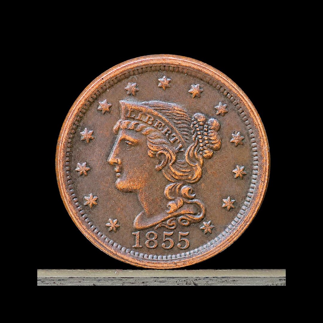 1855 Braided Hair Large Cent Copper Novelty Coin Modern Restrike