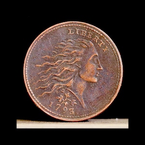 May include: A copper-colored coin featuring a profile of a figure with flowing hair facing right. The word LIBERTY is embossed along the upper edge, and the year 1793 is visible at the bottom, accompanied by a small sprig design below the neck.