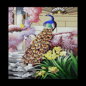 Proud Peacock, Low-Laying Doves