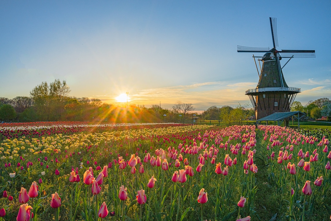 Windmill Island Gardens Sunrise - Etsy
