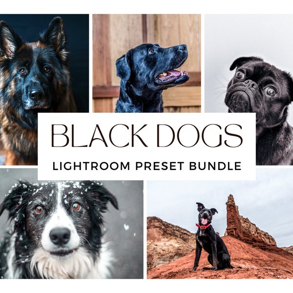 10 BLACK DOGS Lightroom Presets | Dog Presets | Pet Photo Editing | Dark Dogs Presets | Best Pet Presets | Bright Clean Instagram Presets