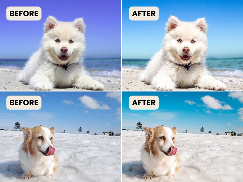 10 WHITE DOGS & SNOW Lightroom Presets Pet Photo Editing Best Pet