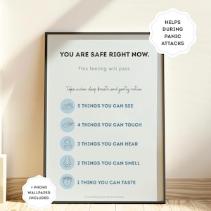 May include: A framed print with the text "YOU ARE SAFE RIGHT NOW." and instructions for a grounding exercise. The print includes the phrases "5 THINGS YOU CAN SEE," "4 THINGS YOU CAN TOUCH," "3 THINGS YOU CAN HEAR," "2 THINGS YOU CAN SMELL," and "1 THING YOU CAN TASTE."