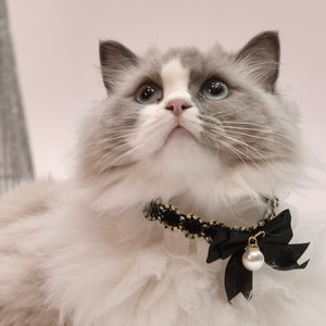 May include: A white and gray cat wearing a black collar with a black bow and a pearl charm. The cat is sitting on a white fluffy surface.