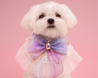 Thanksgiving gift for Pet | Cinderella Pet Scarf: Adjustable Cat/Dog Collar