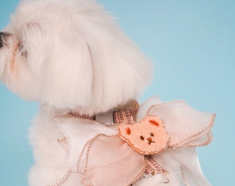 Prezent na Dzień Matki dla zwierzaka | Szelki dla psa/kota Teddy Bear (smycz w zestawie)
