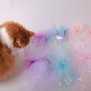Princess Meow Cat Birthday Box: Teaser Flower Bouquet Gift