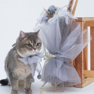 Cat Teaser Bouquet Gift Box: Feather, Streamer, Silver Toys