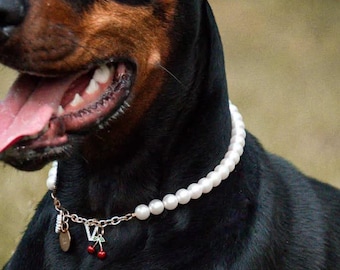 Personalized Dog Pearl Necklace ｜Independence Day Gift For Pet｜FREE Full-Price Collar | Stainless-Steel, Break-Resistant