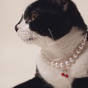 Personalized Cat Pearl Collar | Black Friday sales ｜FREE Full-Price Collar ｜ Thanksgiving Pet Gift | Breakaway Safety | Letter Charms