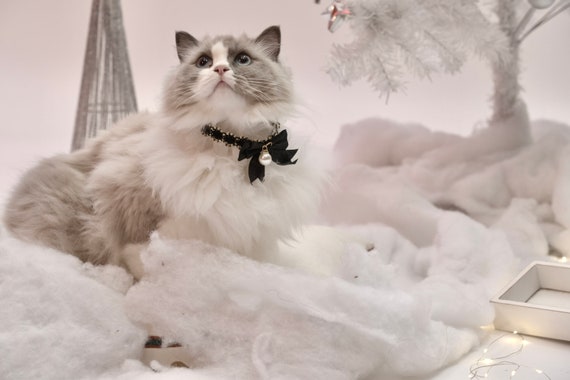Pearl Bowtie Pet Collar | Adjustable Cat, Dog Scarf