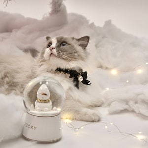 May include: A white cat with blue eyes wearing a black bow tie sits on a white fluffy surface with a white snow globe that says "Pucky" on the bottom. The snow globe has a white snowman inside. There are white fairy lights in the background.