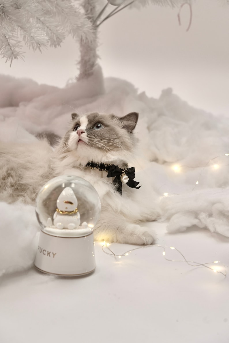 May include: A white cat with blue eyes wearing a black bow tie sits on a white fluffy surface with a white snow globe that says "Pucky" on the bottom. The snow globe has a white snowman inside. There are white fairy lights in the background.