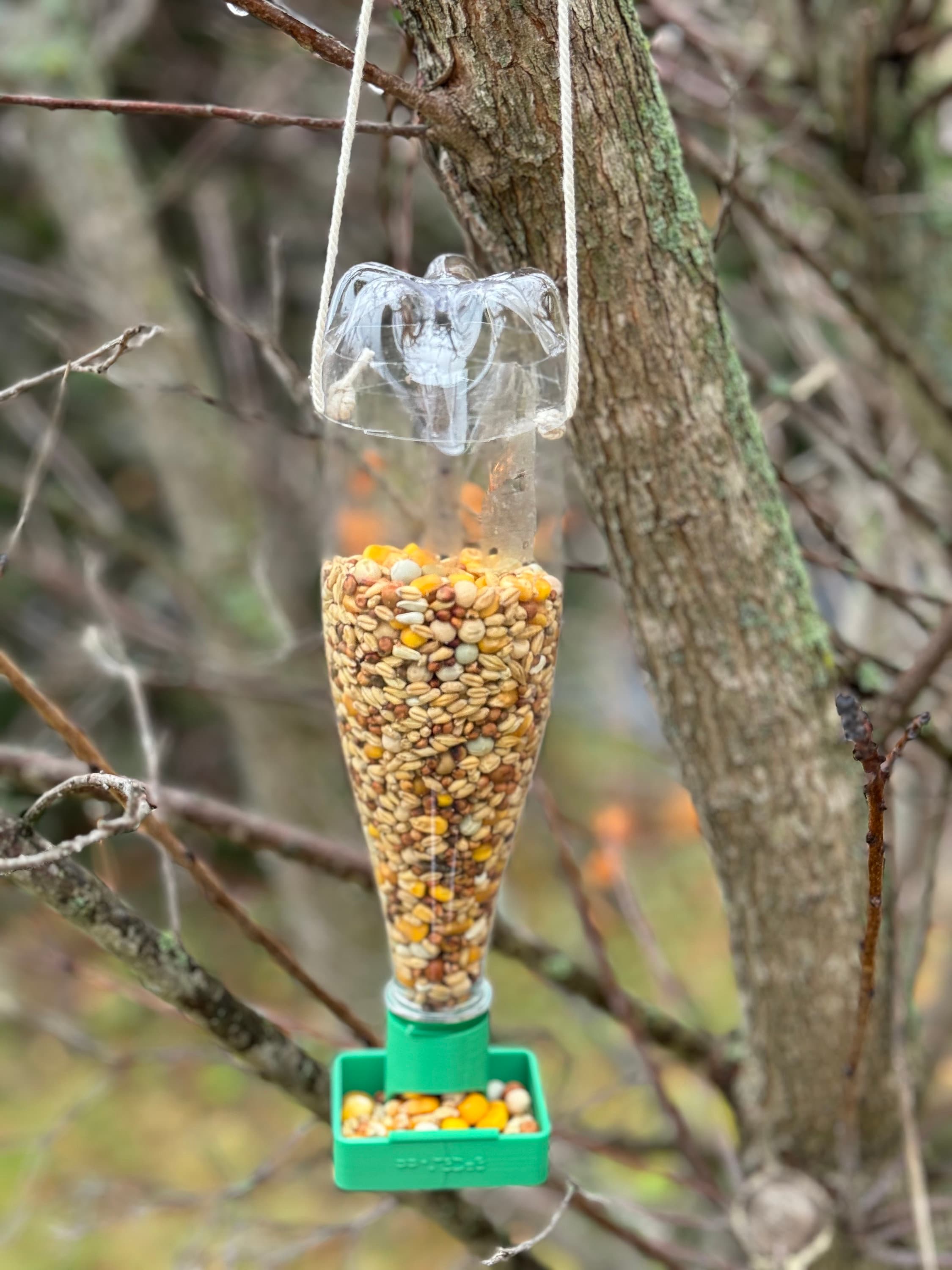 PLA 3D printed bird feeder