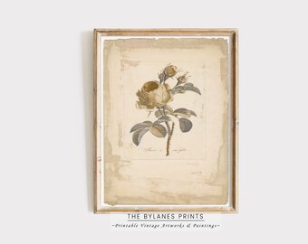Neutral Rose Flower Print | Antique Floral Painting | Cottage Wall Art | Neutral Wall Art | Antique Rose Painting | PRINTABLE | Download