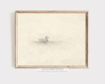 Vintage Duck Illustration | Duck Sketch Drawing | Minimalist Wall Art | Muted Tone Art | Pencil Drawing | PRINTABLE | Downloads