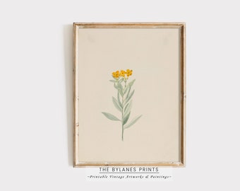 Aesthetic Floral Wall Art Print | Minimalistic Botanical Print | Country Kitchen Art | Dainty Flower | Vintage Flower Download | PRINTABLE