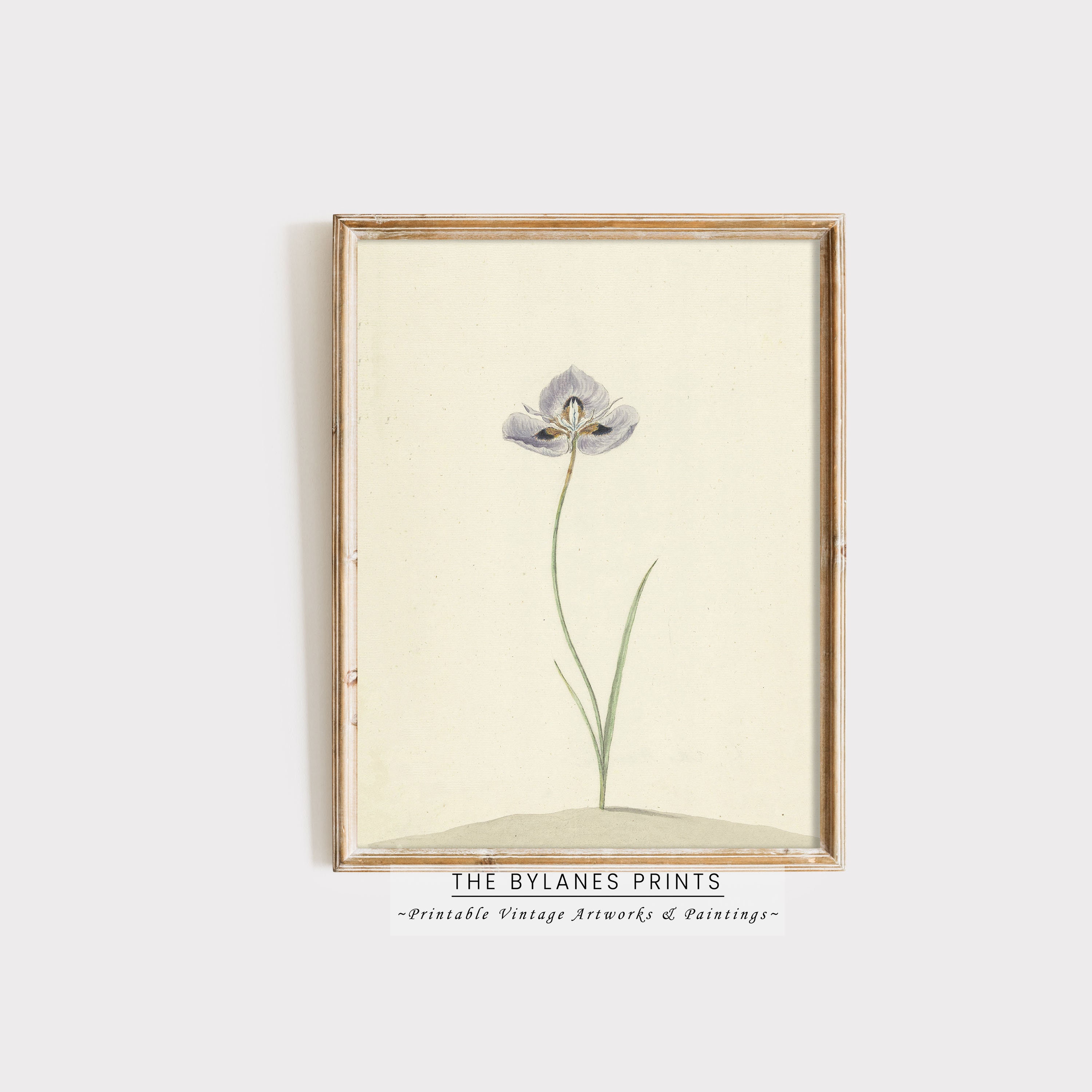 Minimalistic Flower Art Print, Soft Tone Flower Painting | Vintage Downloads | Neutral Floral Wall Art | PRINTABLE | Floral Art DOWNLOAD