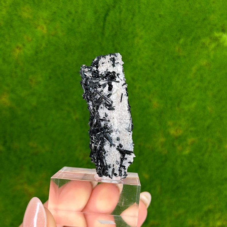May include: Black and white crystal cluster with a rough, textured surface. The crystal is on a clear display stand.