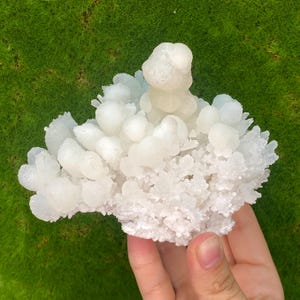 Aragonite Great Quality Specimen, Chihuahua, Mexico